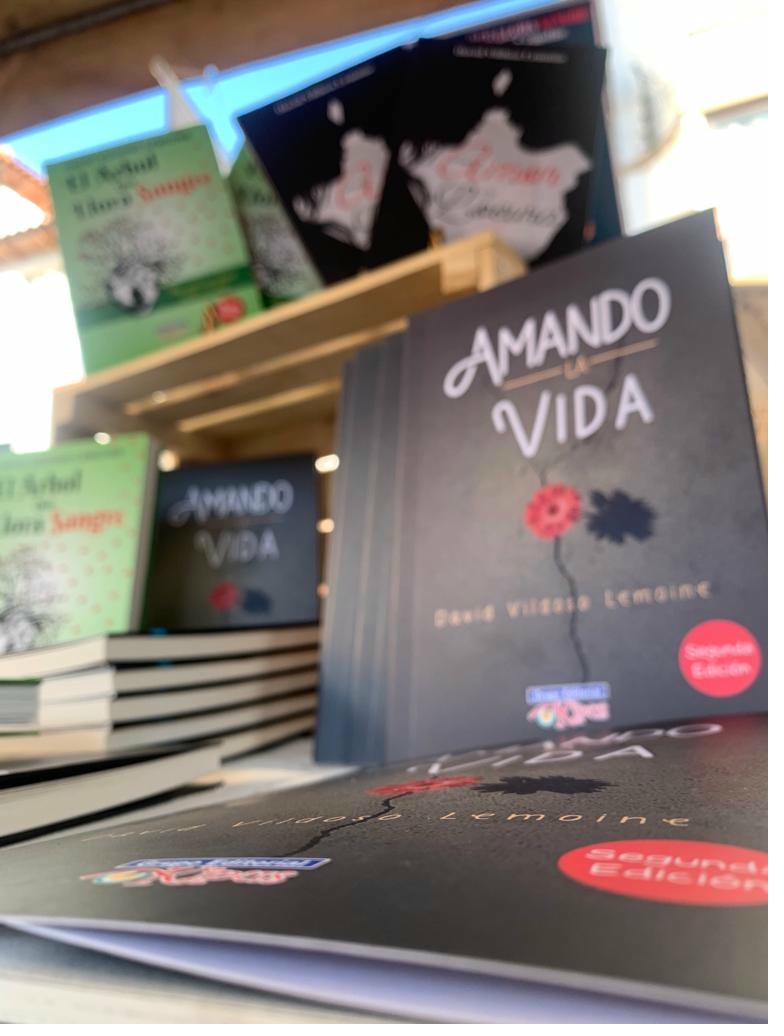 David Vildoso Lemoine's books on display